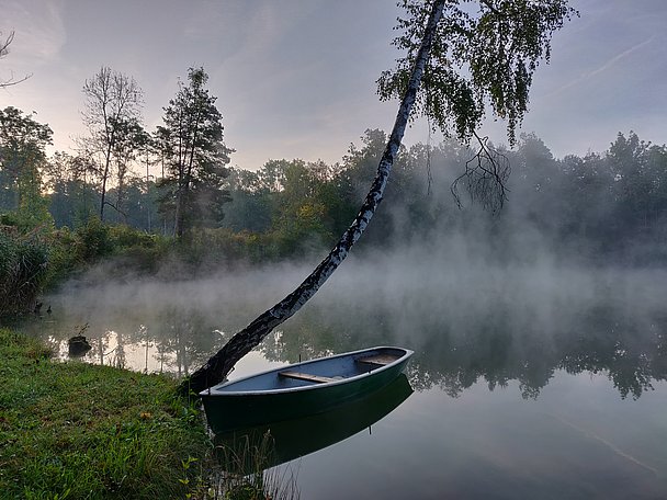 Morgennebel im Donauwald, Boot schwimmt am Ufer der Donau
