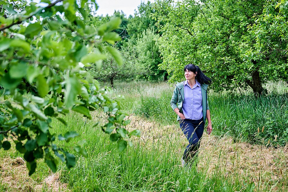 Frau wandert über Streuobstwiese bei Günzburg Frau wandert über Streuobstwiese bei Günzburg