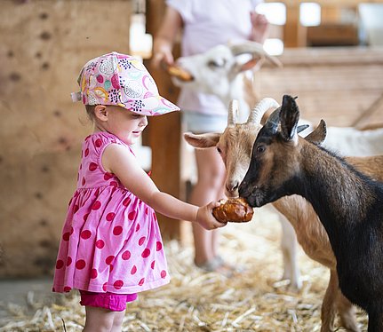 Tiere hautnah in Bayerisch-Schwaben