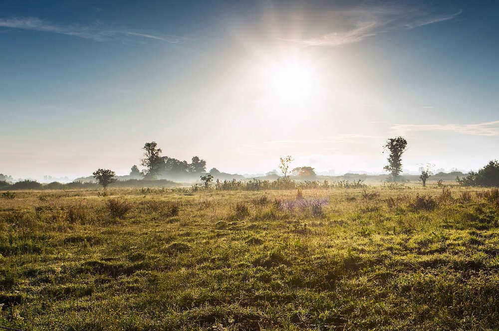 Sonnenuntergang im Leipheimer Moor in Bayerisch-Schwaben Sonnenuntergang im Leipheimer Moor in Bayerisch-Schwaben