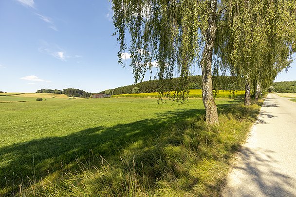 Landschaft im Landkreis Dillingen 