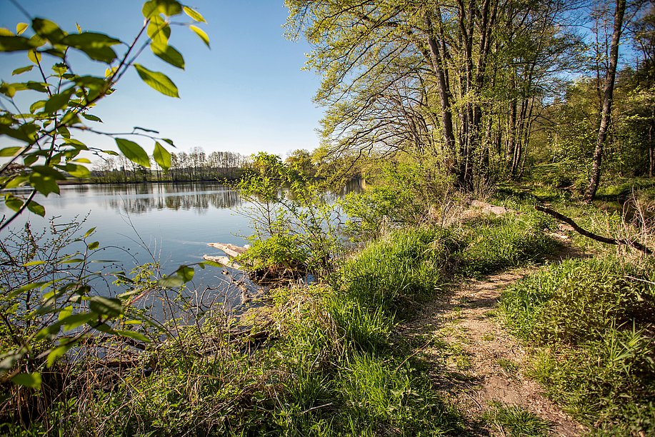 Wandern auf einem Premium-Spazierwanderweg im Donautal