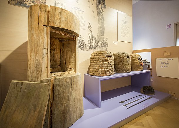 Bienenmuseum Illertissen mit Exponaten im Vöhlinschloss
