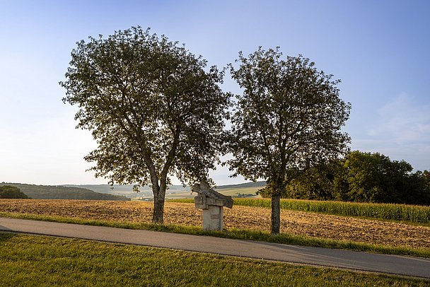 Stationenweg am Feld zwischen Bäumen in Buggenhofen