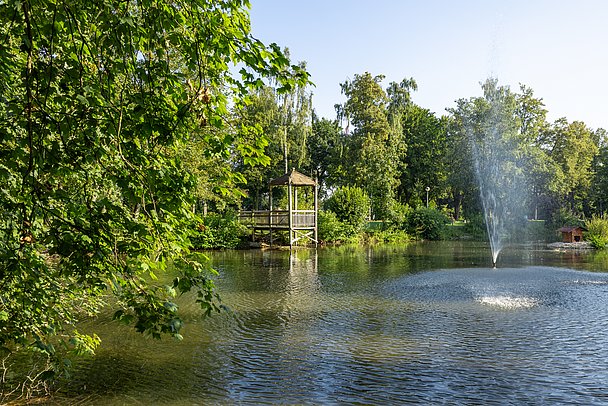 Springbrunnen im Teich des Schnellepark in Gundelfingen
