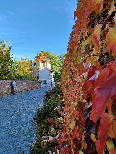 Die Friedberger Stadtmauer mit bunten Herbstblättern bewachsen
