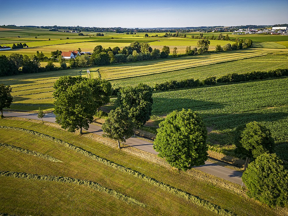 Weitblick über das Zusamtal bei Roggden mit Feldern und Wiesen Weitblick über das Zusamtal bei Roggden mit Feldern und Wiesen