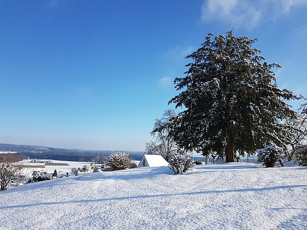 Ausblick vom Osterberg im Winter
