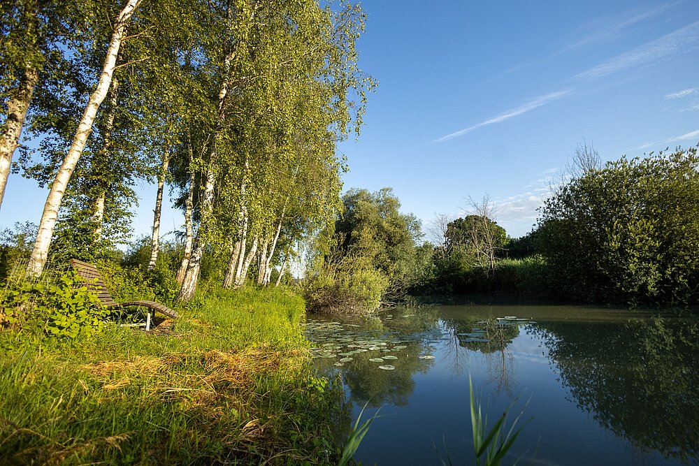 Ufer an einem Weiher nahe Offingen am Donautalwanderweg Ufer an einem Weiher nahe Offingen am Donautalwanderweg