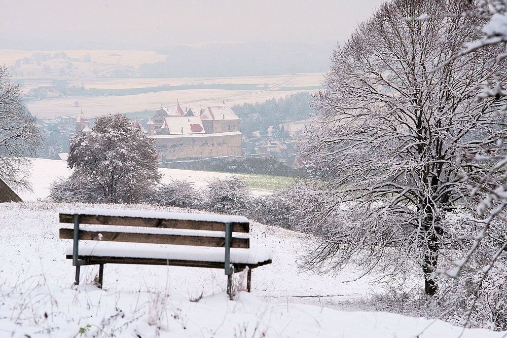 Vom Hühnerberg bei Harburg mit herrlichem Ausblick durch Winterlandschaft
