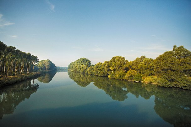 Donau in Bayerisch-Schwaben