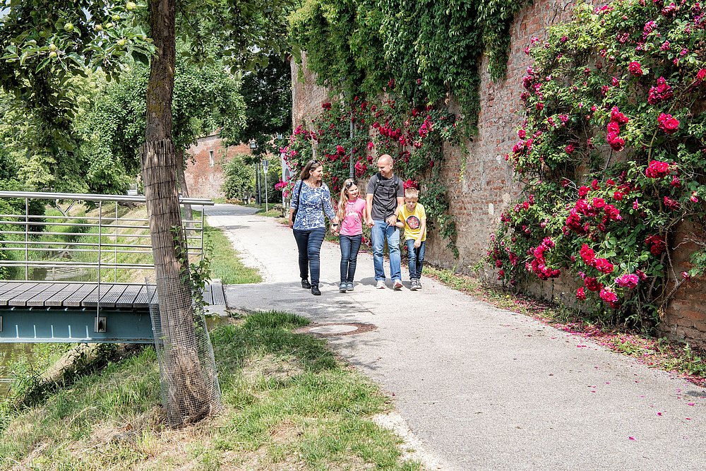 Eine junge Familie spaziert entlang der grün bewachsenen Stadtmauer in Donauwörth Eine junge Familie spaziert entlang der grün bewachsenen Stadtmauer in Donauwörth