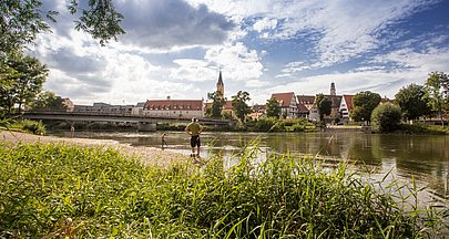 Blick vom Donauufer auf die Stadt Lauingen 