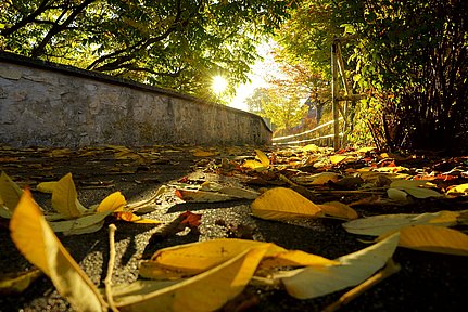 Stadtmauer Wemding im Donauries im herbstlichen Abendlicht