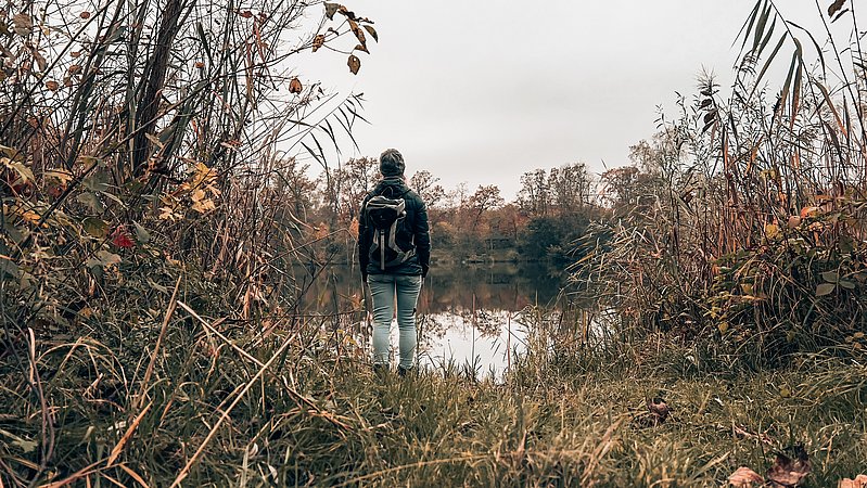 Wandern entlang des Donauwaldweg 