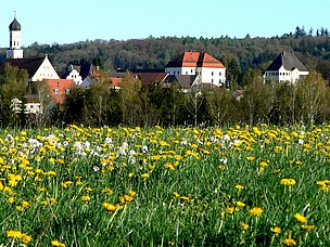 Zusmarshaus von der Löwenzahn-Wiese fotografiert