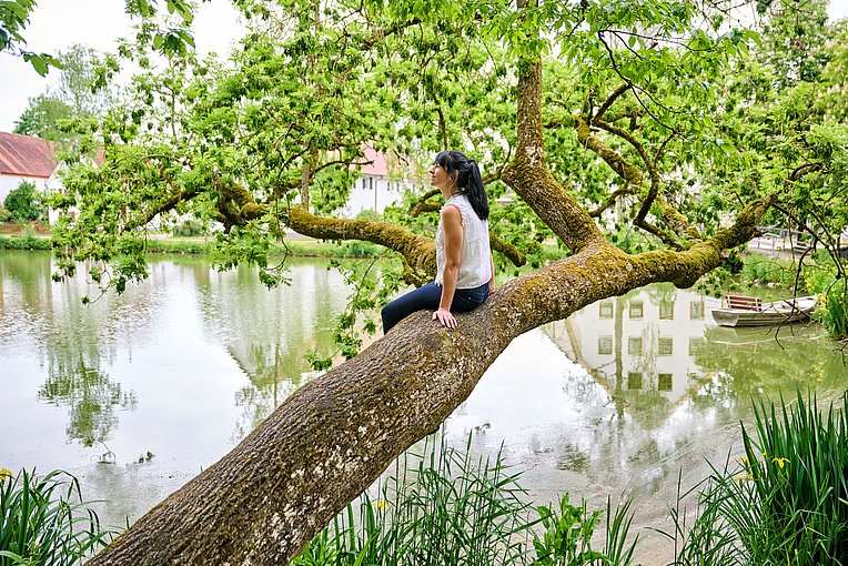 Stefanie Pröbstle auf einem Baum am Stoffenrieder Weiher