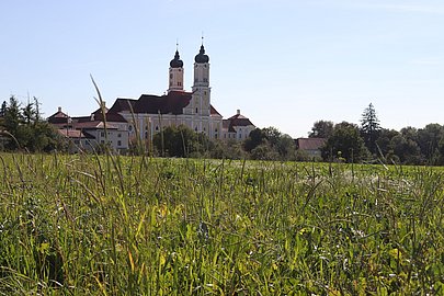 Fernsicht über saftig grüne Wiese zum Kloster Roggenburg