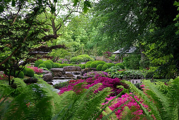 Planzenwelt im Botanischen Garten