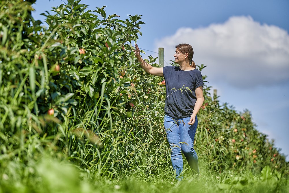 Katharina Zott, Obsthof - Gesichter Bayerisch-Schwaben Katharina Zott, Obsthof - Gesichter Bayerisch-Schwaben