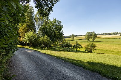 Radtour im Landkreis Dillingen, Radfahren in Bayerisch-Schwaben