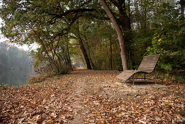 Himmelsliege im Herbst am Donauwaldwanderweg