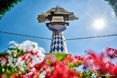 Maibaum im Wittelsbacher Land