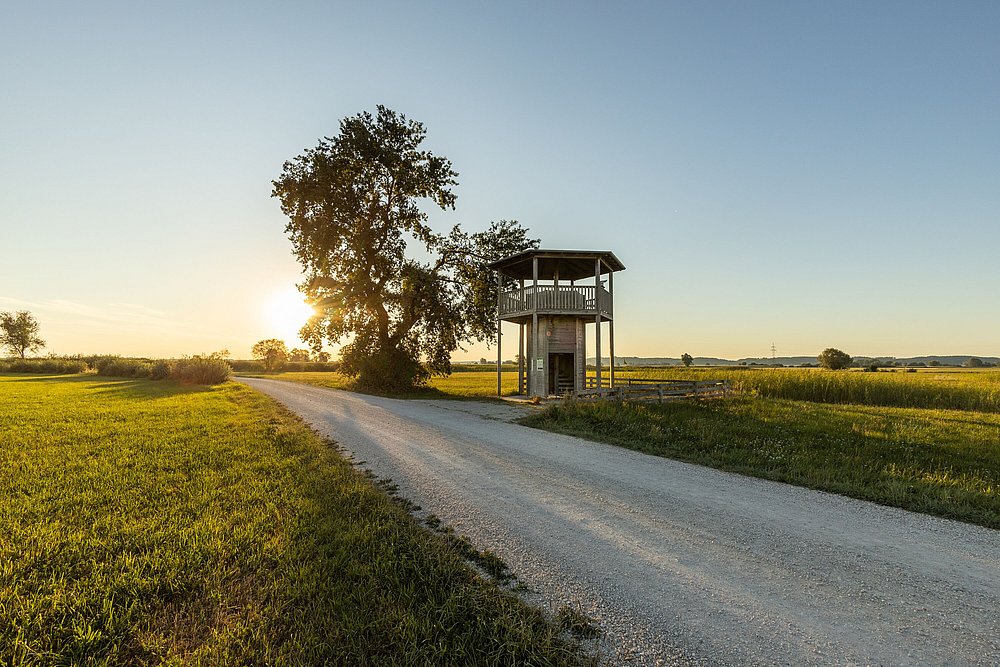 Vogelbeobachtungsturm in Blindheim bei Abendsonne Vogelbeobachtungsturm in Blindheim bei Abendsonne
