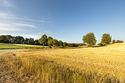 Ausblick über die Felder im Augsburger Land 