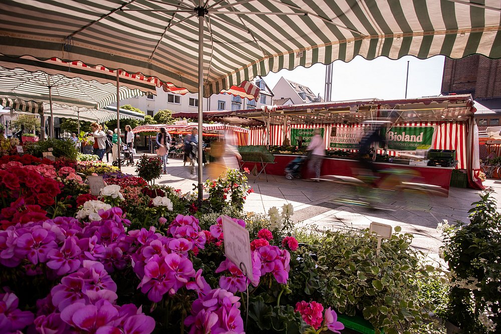 Wochenmarkt im Frühling am Petrusplatz in Neu-Ulm