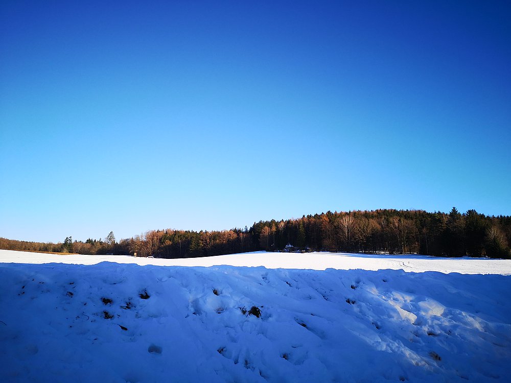 Schlittenberg bei der Waldbühne Diedorf