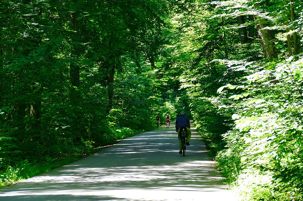 Radfahren im Stadtwald Radfahren im Stadtwald