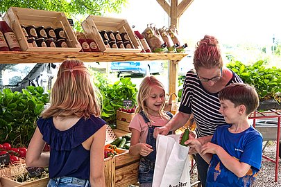 Familienausflug zum Beerenhof mit Kleinkindern