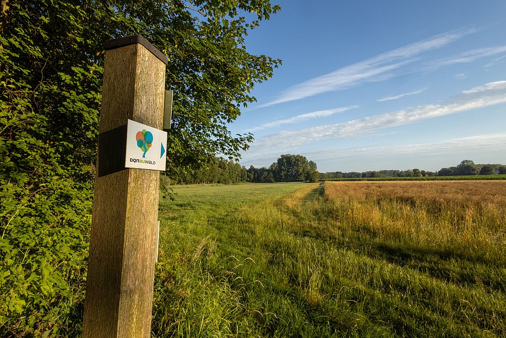 Donauwald-Wanderweg Wegweisen am Waldesrand