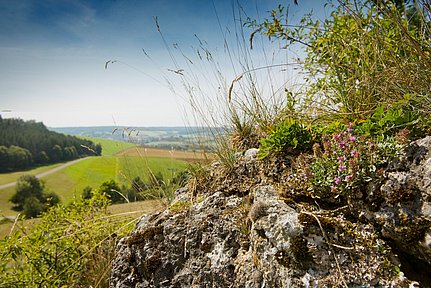 UNESCO Global Geopark Ries