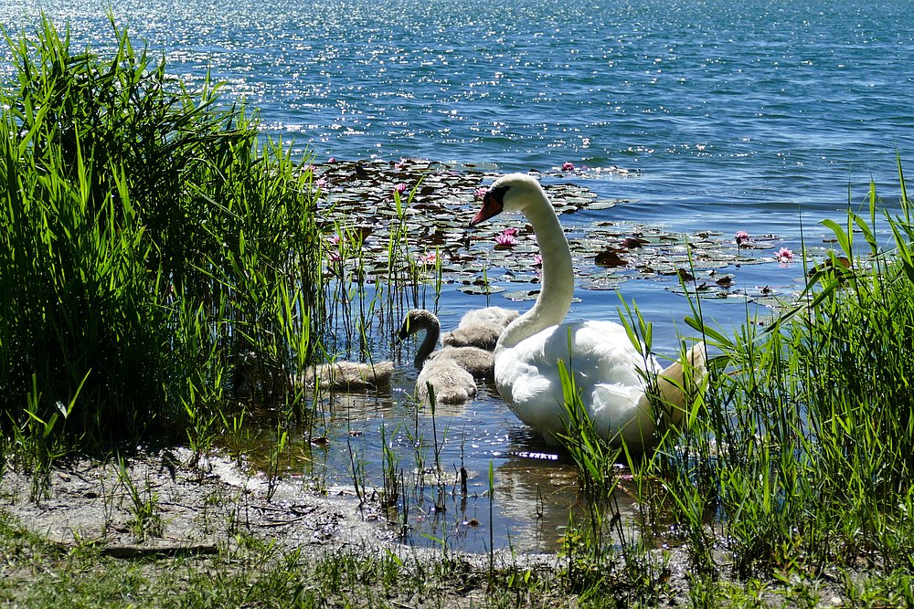 Stausee Bobingen Stausee Bobingen
