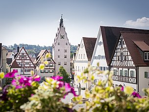 Alstadt Monheim