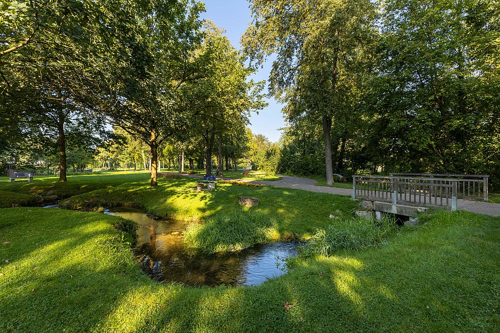 Grünes im Schnelle-Park 