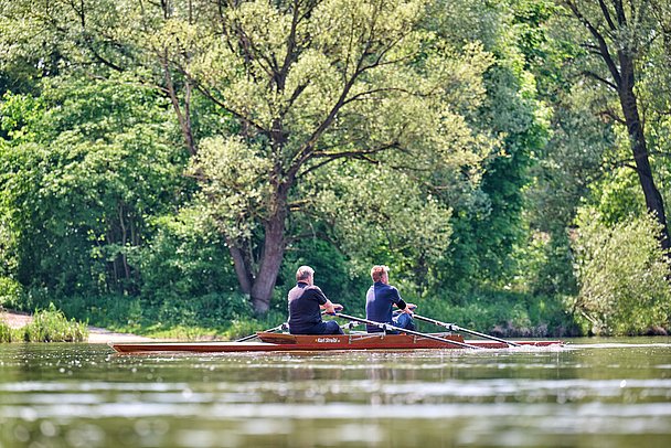 Ruderer auf der Donau bei Lauingen