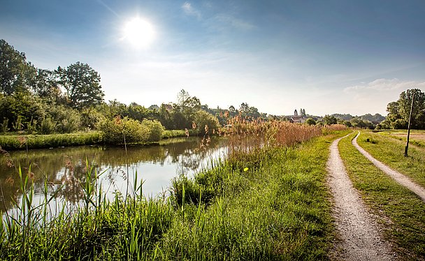 Wandern auf einem Premium-Spazierwanderweg im Donautal