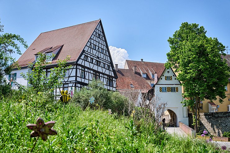 Altstadt mit Fachwerkhaus in Lauingen
