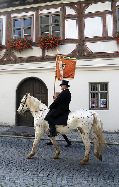 Leonhardiritt Weißenhorn, Reiter mit Fahne auf Schimmel Leonhardiritt Weißenhorn, Reiter mit Fahne auf Schimmel