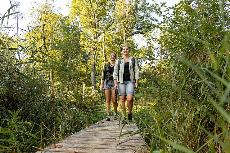 Wanderer auf dem Donauwaldwanderweg auf Stegen bei Offingen Wanderer auf dem Donauwaldwanderweg auf Stegen bei Offingen