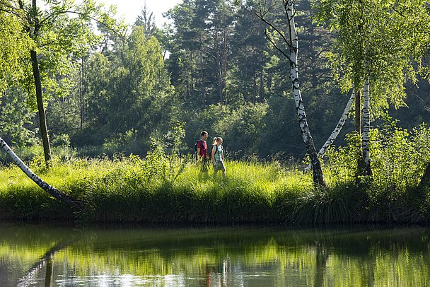 DonAUwald Premiumwanderweg DonAUwald Premiumwanderweg