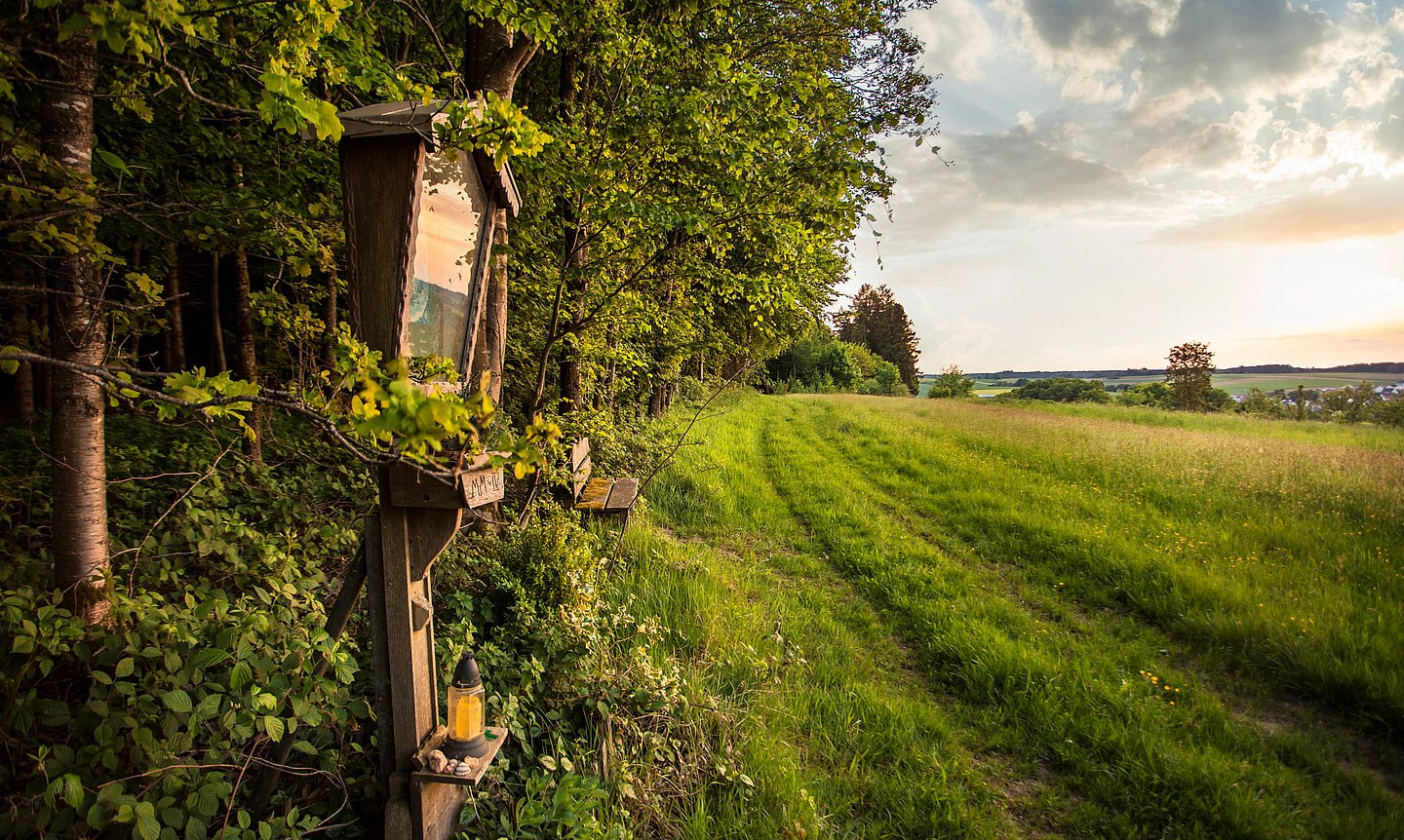 Wandern auf einem Premium-Spazierwanderweg im Donautal
