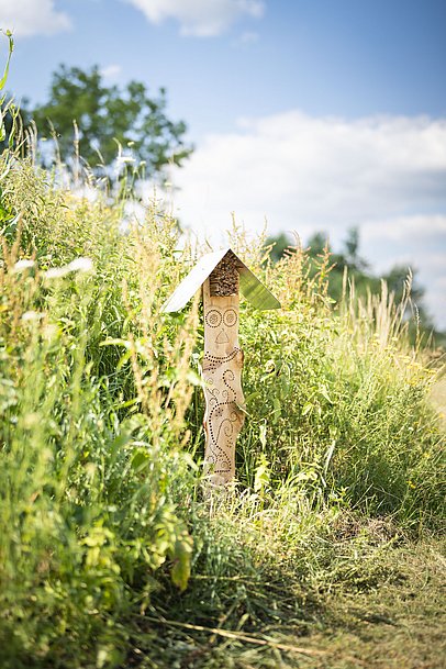Botanischer Obstgarten „Schäbles Kleinod“ bei Wemding Botanischer Obstgarten „Schäbles Kleinod“ bei Wemding