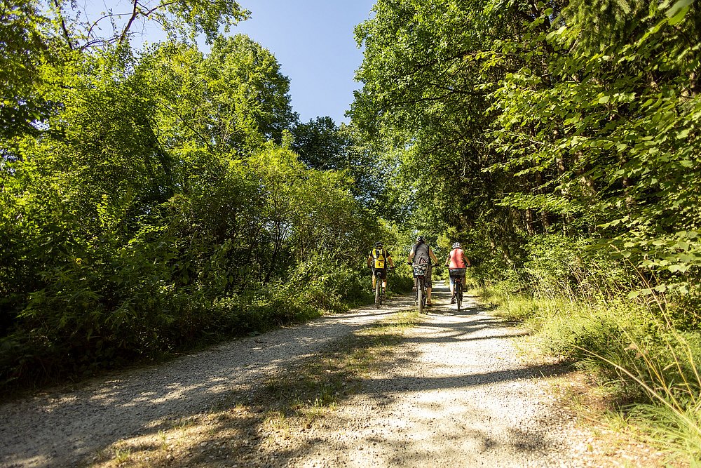 Drei Radfahrer auf einem Feldweg im Naturpark Augsburg Westliche Wälder Drei Radfahrer auf einem Feldweg im Naturpark Augsburg Westliche Wälder
