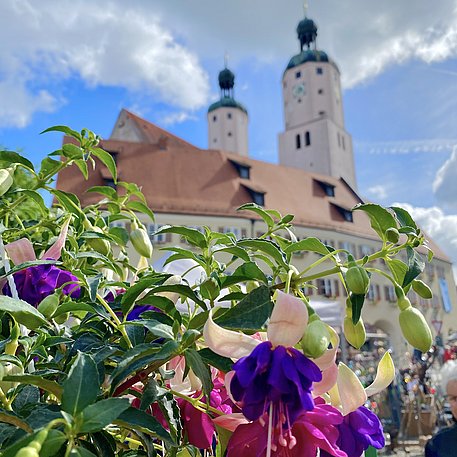 Fuchsienmarkt Wemding