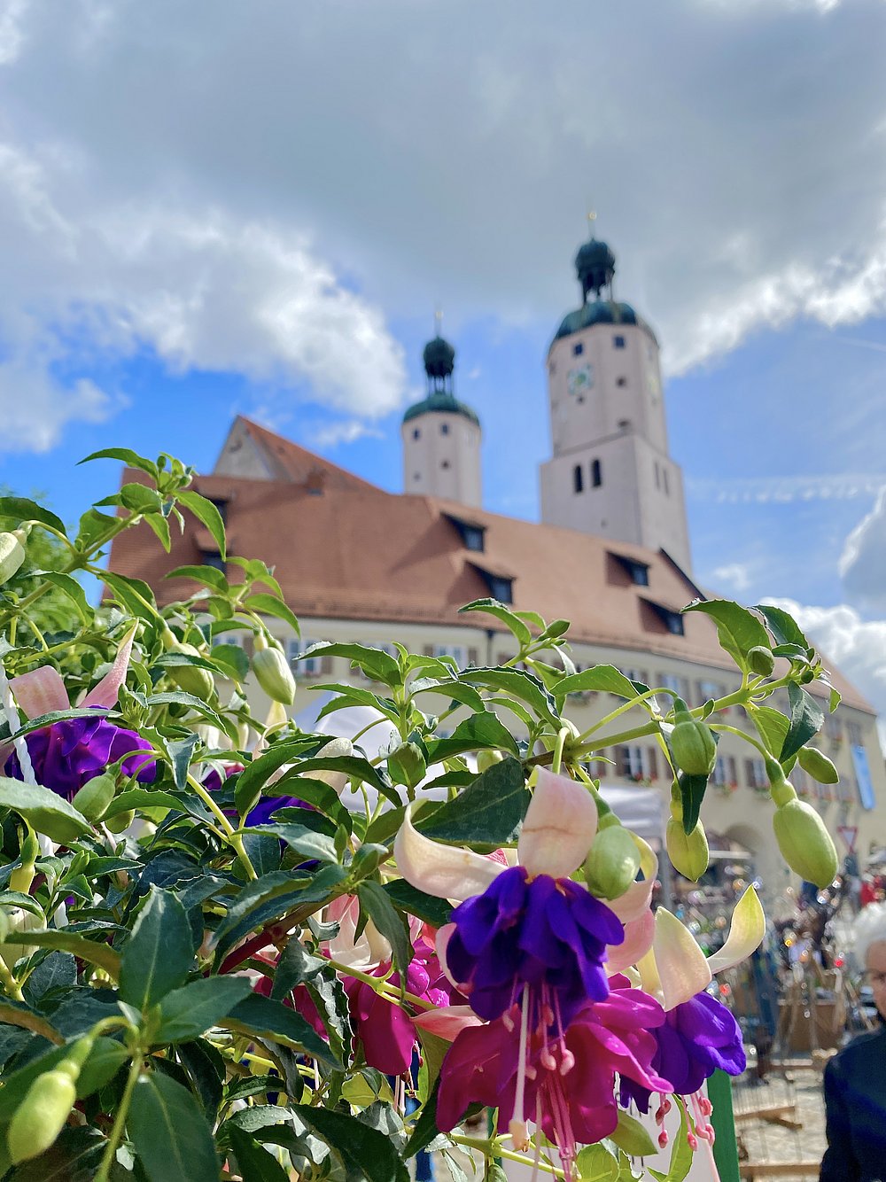 Fuchsienmarkt Wemding Fuchsienmarkt Wemding