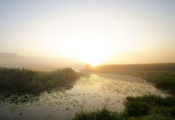 Novembernebel über Wasser in Bayerisch-Schwaben